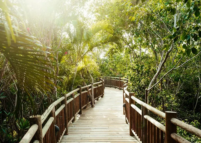 Grand Ocean Breeze Riviera Maya Puerto Morelos